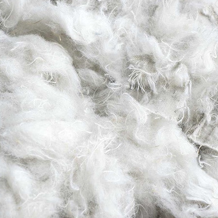 closeup image of cotton